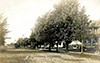 City To 1939: N. Cedar Street - 1909